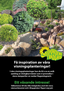 Affisch Bispgårdens Trädgård