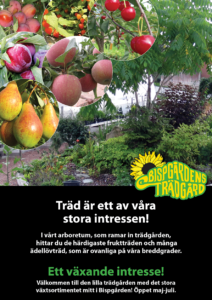 Affisch Bispgårdens Trädgård