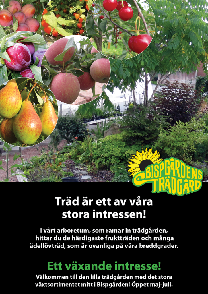 Affisch Bispgårdens Trädgård